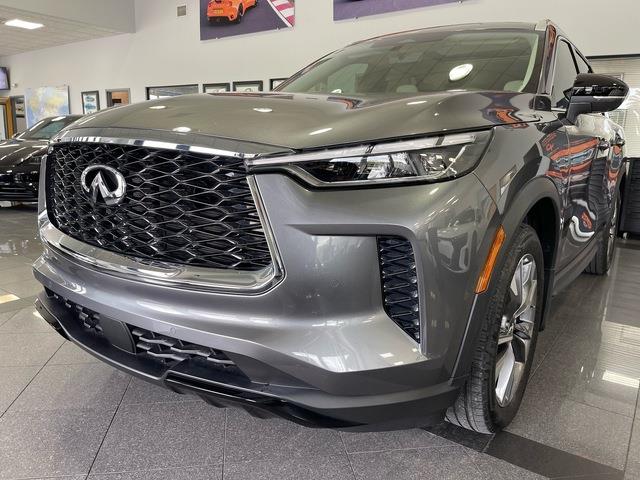 2024 Infiniti QX60 (CC-2077372) for sale in Jacksonville, Florida