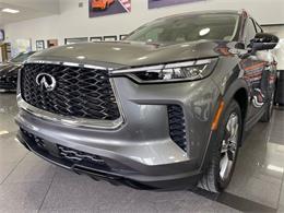 2024 Infiniti QX60 (CC-2077372) for sale in Jacksonville, Florida