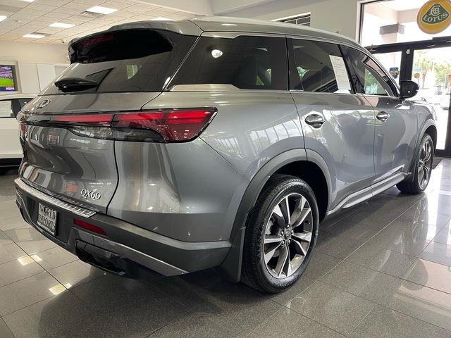 2024 Infiniti QX60 (CC-2077372) for sale in Jacksonville, Florida