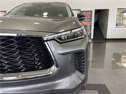 2024 Infiniti QX60 (CC-2077372) for sale in Jacksonville, Florida