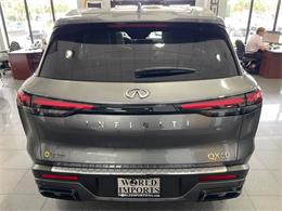 2024 Infiniti QX60 (CC-2077372) for sale in Jacksonville, Florida