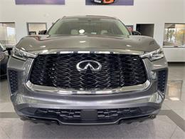 2024 Infiniti QX60 (CC-2077372) for sale in Jacksonville, Florida