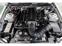 2005 Ford Mustang GT (Saleen) (CC-2077409) for sale in sherman, Texas