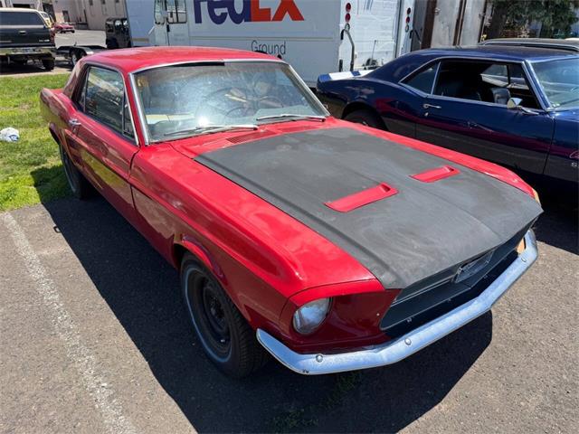 1967 Ford Mustang (CC-2077426) for sale in Penndel, Pennsylvania