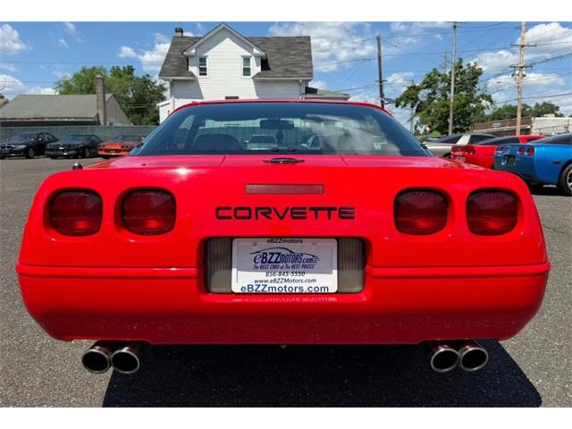 1995 Chevrolet Corvette (CC-2077458) for sale in Woodbury, New Jersey