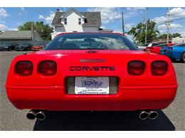 1995 Chevrolet Corvette (CC-2077458) for sale in Woodbury, New Jersey
