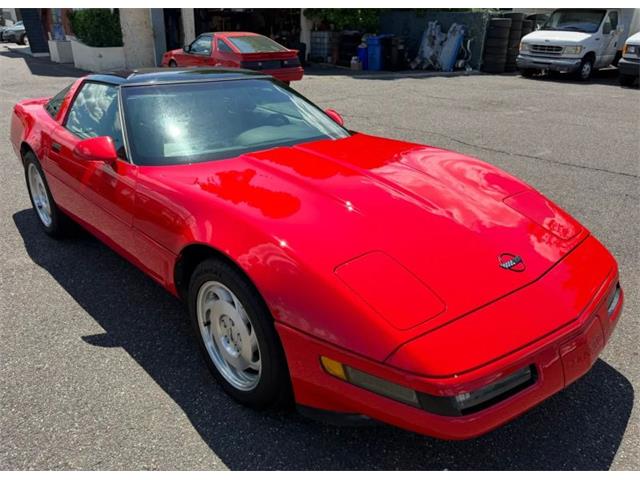 1995 Chevrolet Corvette (CC-2077458) for sale in Woodbury, New Jersey
