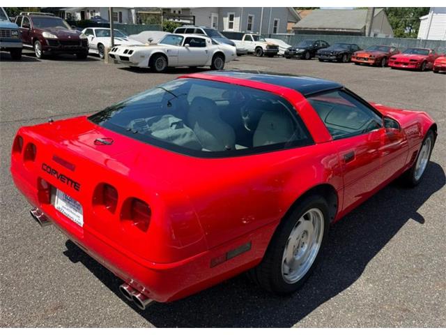 1995 Chevrolet Corvette (CC-2077458) for sale in Woodbury, New Jersey