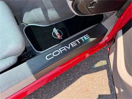 1995 Chevrolet Corvette (CC-2077458) for sale in Woodbury, New Jersey