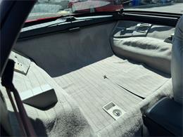 1995 Chevrolet Corvette (CC-2077458) for sale in Woodbury, New Jersey
