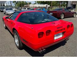 1995 Chevrolet Corvette (CC-2077458) for sale in Woodbury, New Jersey