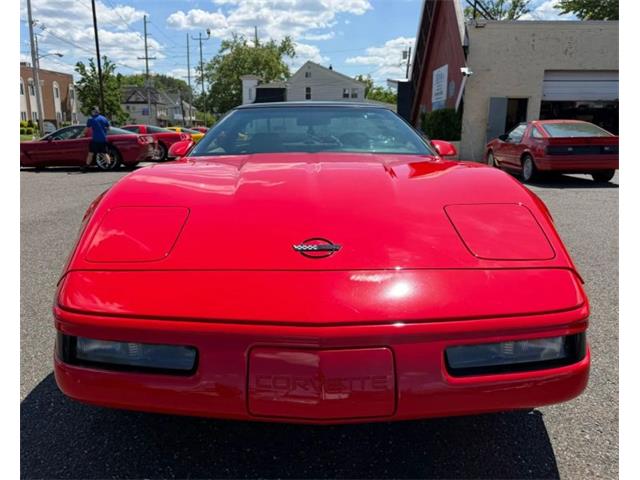 1995 Chevrolet Corvette (CC-2077458) for sale in Woodbury, New Jersey