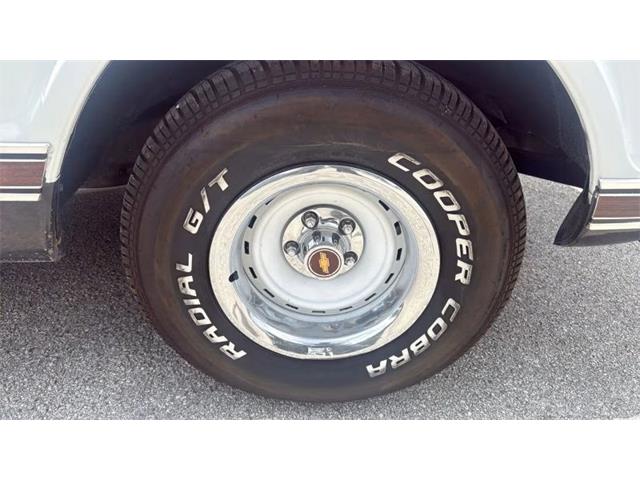 1972 Chevrolet 1500 (CC-2077490) for sale in Spring Branch, Texas