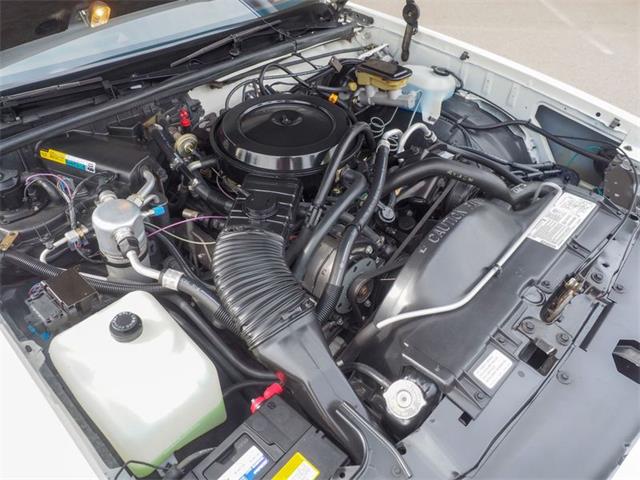 1987 Chevrolet Monte Carlo (CC-2070765) for sale in Englewood, Colorado
