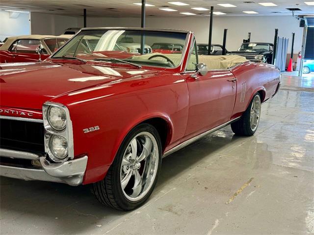 1967 Pontiac LeMans (CC-2070772) for sale in Dekalb, Illinois