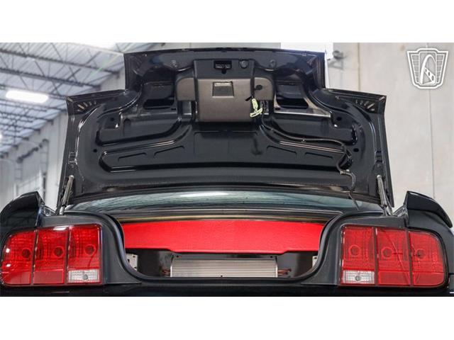 2005 Ford Mustang (CC-2077818) for sale in New Braundfels, Texas