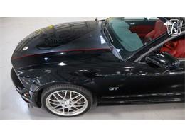 2005 Ford Mustang (CC-2077818) for sale in New Braundfels, Texas