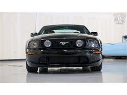 2005 Ford Mustang (CC-2077818) for sale in New Braundfels, Texas
