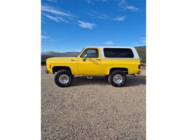1977 Chevrolet Blazer (CC-2077855) for sale in Cadillac, Michigan