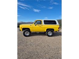1977 Chevrolet Blazer (CC-2077855) for sale in Cadillac, Michigan