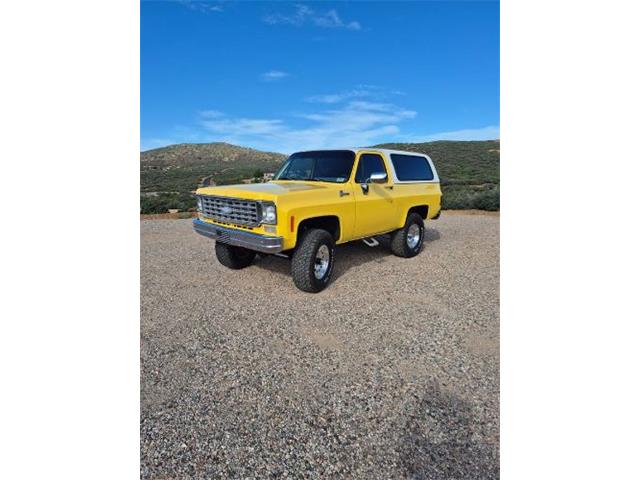 1977 Chevrolet Blazer (CC-2077855) for sale in Cadillac, Michigan