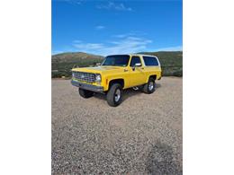1977 Chevrolet Blazer (CC-2077855) for sale in Cadillac, Michigan