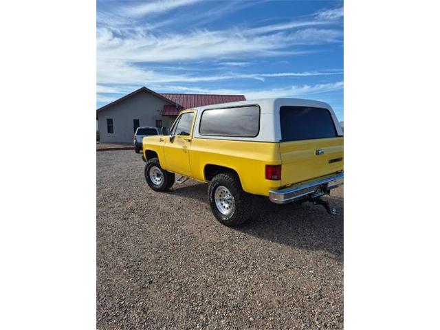 1977 Chevrolet Blazer (CC-2077855) for sale in Cadillac, Michigan