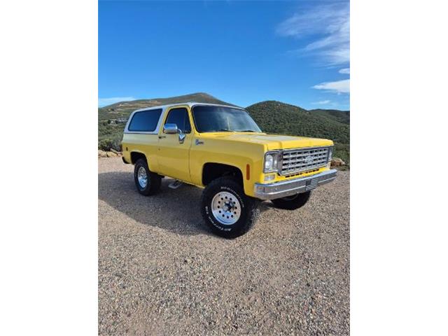 1977 Chevrolet Blazer (CC-2077855) for sale in Cadillac, Michigan