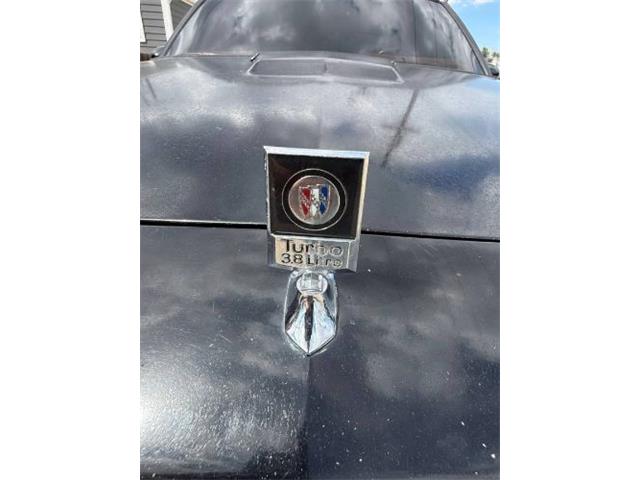 1984 Buick Regal (CC-2077860) for sale in Cadillac, Michigan