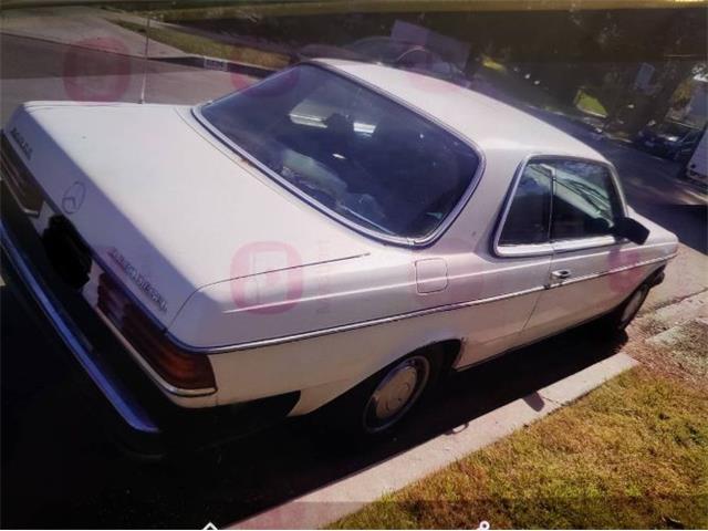 1982 Mercedes-Benz 300C (CC-2077864) for sale in Cadillac, Michigan