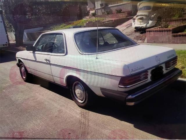 1982 Mercedes-Benz 300C (CC-2077864) for sale in Cadillac, Michigan