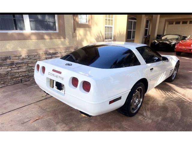 1992 Chevrolet Corvette (CC-2077876) for sale in Cadillac, Michigan