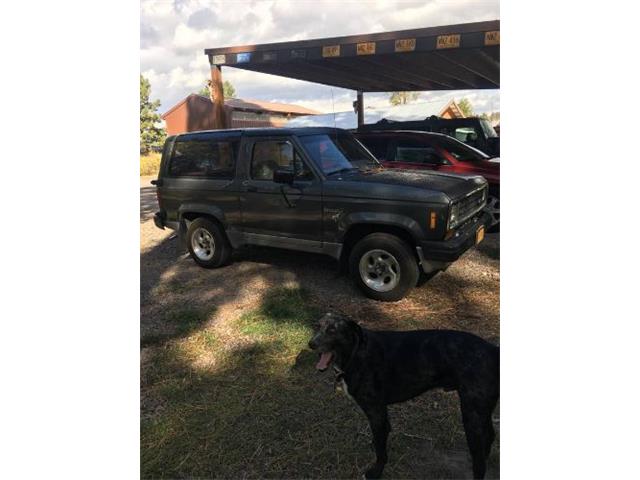 1985 Ford Bronco (CC-2077879) for sale in Cadillac, Michigan