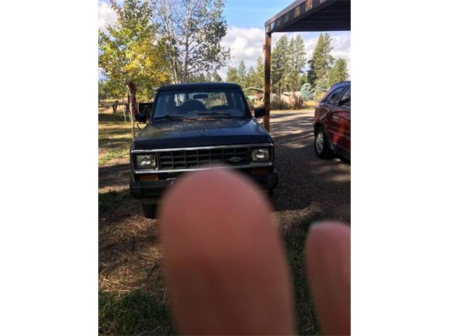 1985 Ford Bronco (CC-2077879) for sale in Cadillac, Michigan