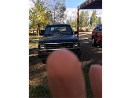 1985 Ford Bronco (CC-2077879) for sale in Cadillac, Michigan