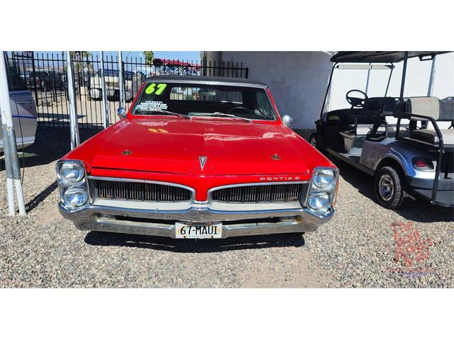 1967 Pontiac LeMans (CC-2077948) for sale in Lake Havasu, Arizona