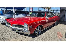 1967 Pontiac LeMans (CC-2077948) for sale in Lake Havasu, Arizona
