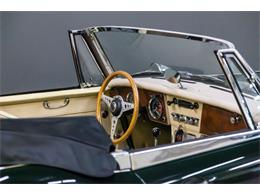 1967 Austin-Healey 3000 (CC-2077950) for sale in Lebanon, Tennessee