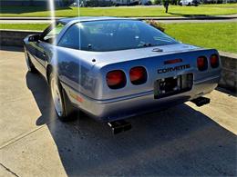 1991 Chevrolet Corvette (CC-2077951) for sale in Hilton, New York