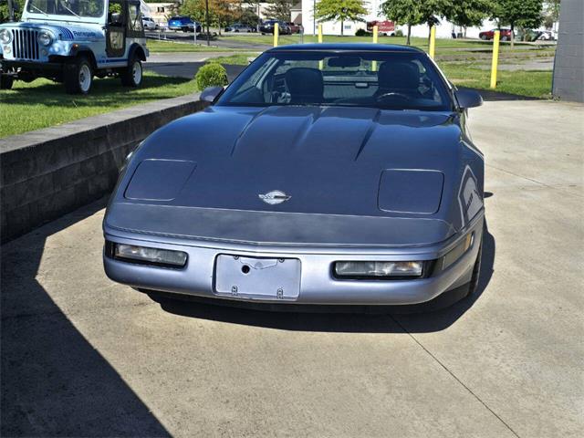 1991 Chevrolet Corvette (CC-2077951) for sale in Hilton, New York