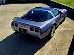 1991 Chevrolet Corvette (CC-2077951) for sale in Hilton, New York