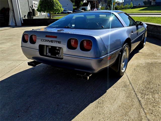 1991 Chevrolet Corvette (CC-2077951) for sale in Hilton, New York