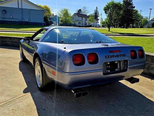 1991 Chevrolet Corvette (CC-2077951) for sale in Hilton, New York