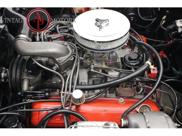 1979 International Scout (CC-2077958) for sale in Statesville, North Carolina
