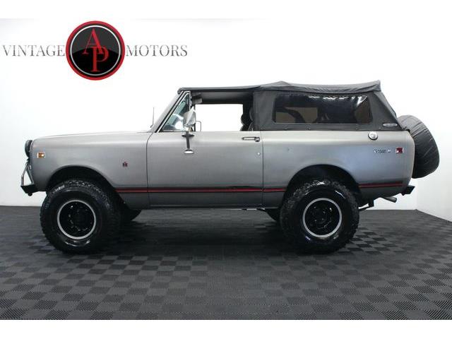 1979 International Scout (CC-2077958) for sale in Statesville, North Carolina