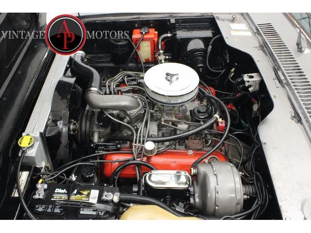 1979 International Scout (CC-2077958) for sale in Statesville, North Carolina