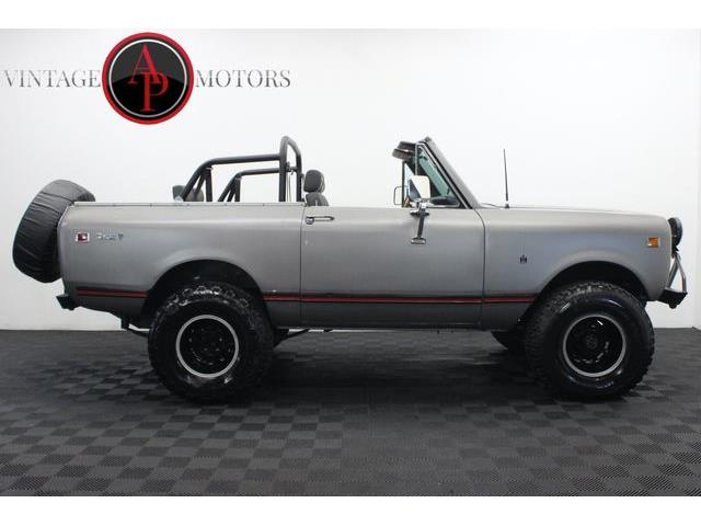 1979 International Scout (CC-2077958) for sale in Statesville, North Carolina