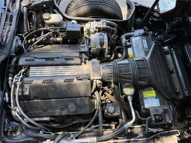 1993 Chevrolet Corvette (CC-2077993) for sale in Concord, North Carolina