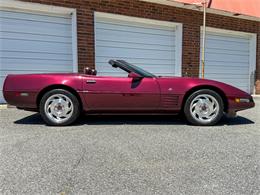 1993 Chevrolet Corvette (CC-2077993) for sale in Concord, North Carolina