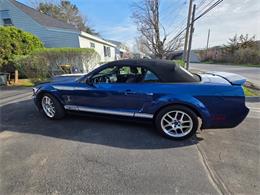 2007 Ford Mustang Shelby GT500 (CC-2070008) for sale in New Hartford, NY, New York